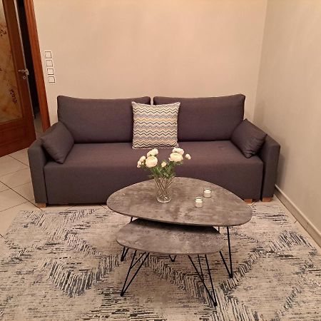 Appartement Elena House à Ioannina Extérieur photo