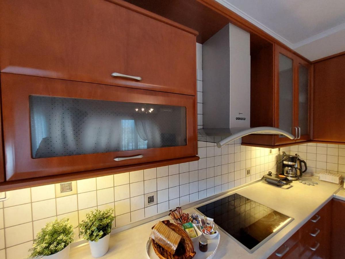 Appartement Elena House à Ioannina Extérieur photo