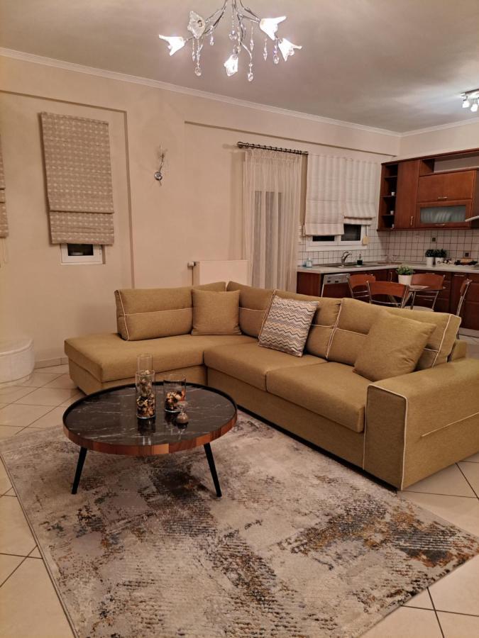 Appartement Elena House à Ioannina Extérieur photo