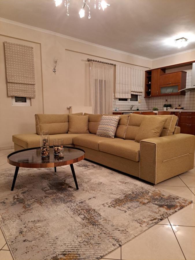 Appartement Elena House à Ioannina Extérieur photo